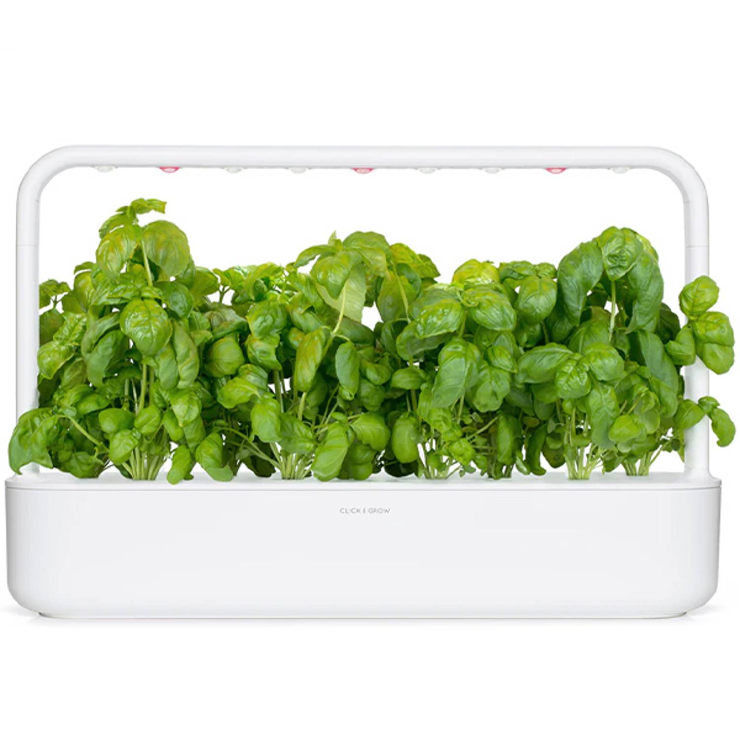 Click and Grow Basil Plant Pods Click and Grow Basil Plant Pods