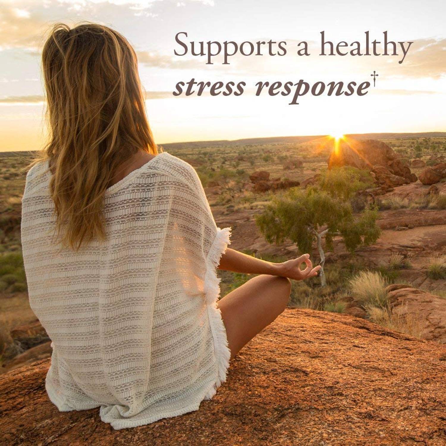 Garden Of Life Mykind Organics B-Complex Once Daily 30 Vegan Tablets Garden Of Life Mykind Organics B-Complex Once Daily 30 Vegan Tablets