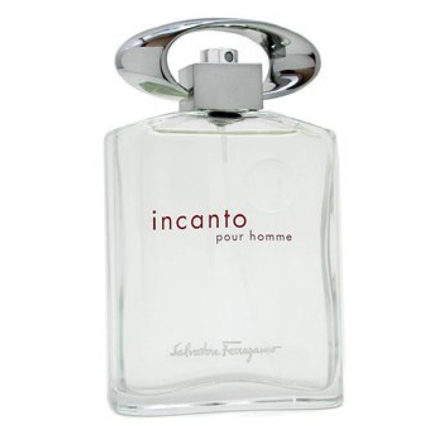 Ferragamo Incanto Pour Homme Eau De Toilette For Men 100ml Ferragamo Incanto Pour Homme Eau De Toilette For Men 100ml