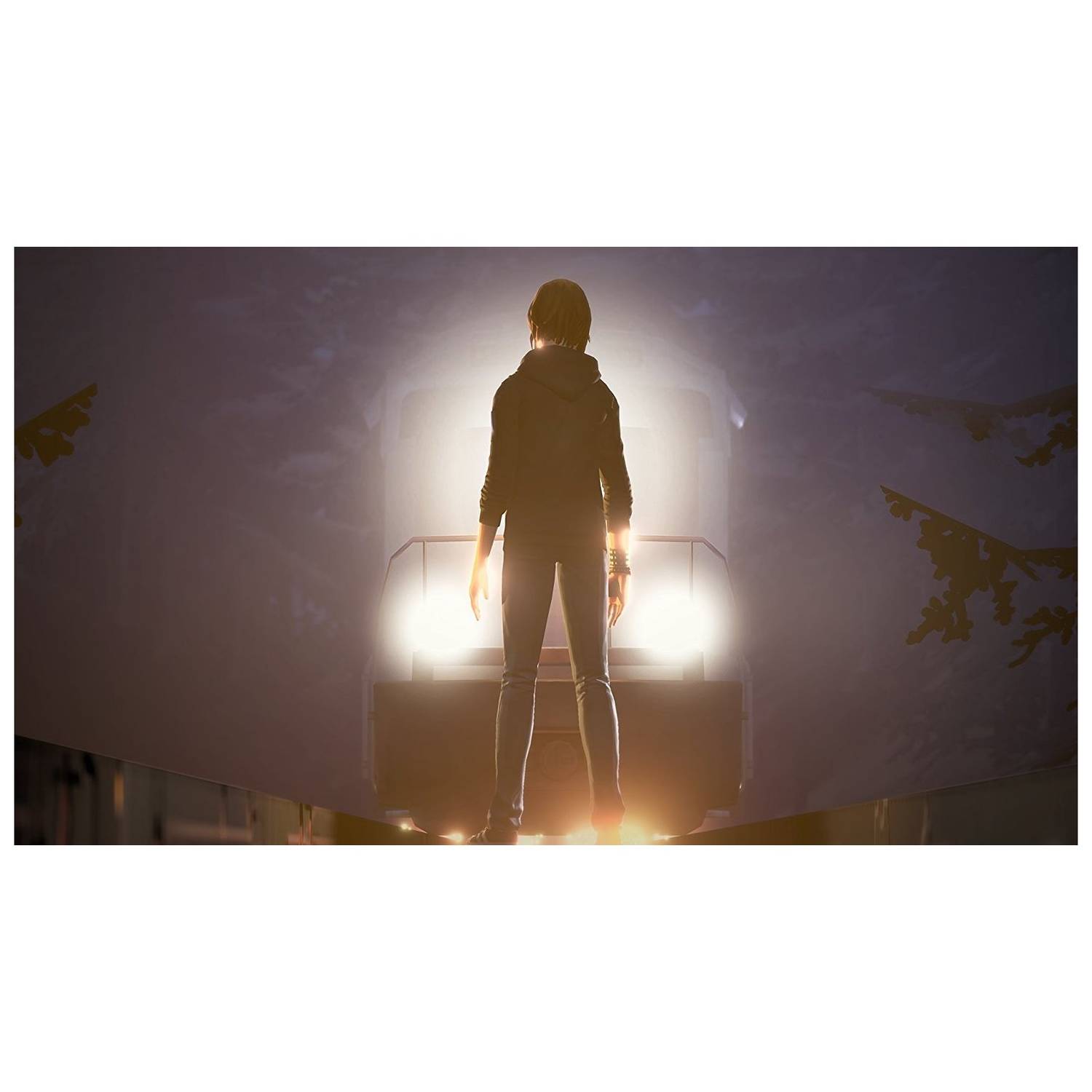 PS4 Life Is Strange Before The Storm Limited Edition Game PS4 Life Is Strange Before The Storm Limited Edition Game