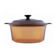 وعاء زجاجي بغطاء فيجن