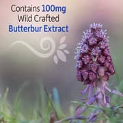 Garden Of Life Herbal Immune Balance Sinus 60 Vegetarian Capsules Garden Of Life Herbal Immune Balance Sinus 60 Vegetarian Capsules