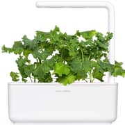 كرنب أخضر من كليك آند جرو