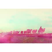 Desert Frames Art(150) Photo Frame 21x30cm