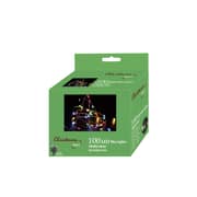 100 LED Rice Lights Multicolour 9.90m