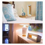 Airocide Air Purifier APS200 PM2.5