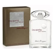 Ferragamo Incanto Pour Homme Eau De Toilette For Men 100ml