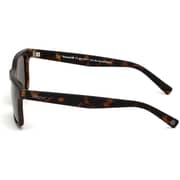 Timberland TB914152R55 Mens Sunglass Polarized