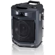 LG Xboom Portable Hi Fi Speaker CDFJ3