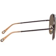 Chloe Aviator Brown Sunglasses For Women CE144S-028-61