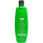 Green Cross Isopropyl Alcohol Sanitizer 500ml