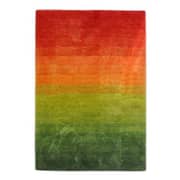 Shaggy Modern Design Carpet Green/Orange/Red