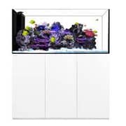 Water Box Crystal Peninsula Aquarium 6026+ Cabinet- L 150cm X W 65cm X W 60cm-white