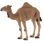 Mojo Animal Planet Arabian Camel New Colour 2017 XL