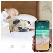 Blurams S15F Dome 360 2Way Audio, Motion, Sound Detection 1080P IP Security Camera Blurams S15F Dome 360 2Way Audio, Motion, Sound Detection 1080P IP Security Camera