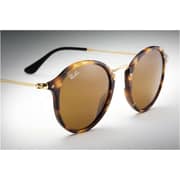 RayBan RB2447-1160-49 Havana/Brown Acetate Men Sunglasses