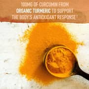 Garden Of Life Mykind Org Extra Strength Turmeric 120 Vegan Tablets