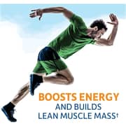 Garden Of Life Raw Organic Fit Protein Powder Original 427g