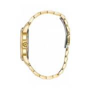 Citizen FE610253A Watch