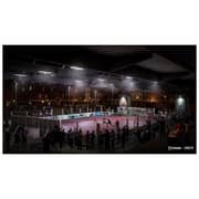 PS4 FIFA 20 Champions Edition Game