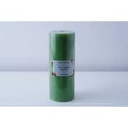Premier Sugared Apple Pillar Candle Green D7xh18cm