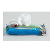 Nickelodeon Paw Patrol Wet Wipes 12's