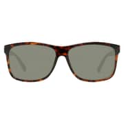 Skechers SE601552N59 Dark Havana/Green Mens Sunglasses