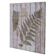 Pan Emirates Green Fern Wall Art Multi Color