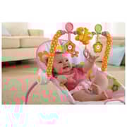 Fisher Price Infant to Toddler Rocker