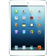 iPad mini (2012) WiFi+Cellular 512GB 7.9inch