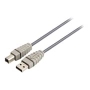 Bandridge USB Device Cable 2m BCL4102
