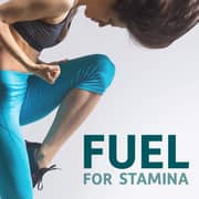 Garden Of Life Raw Organic Protein Powder Unflavored No Stevia 560g