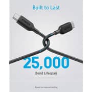 Anker PowerLine III USB Type-C Cable 1.8m Black