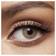 Anesthesia Addict Oro Unisex Contact Lenses Anesthesia Addict Oro Unisex Contact Lenses