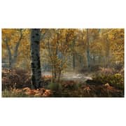 PS4 The Elder Scrolls V Skyrim VR Game PS4 The Elder Scrolls V Skyrim VR Game