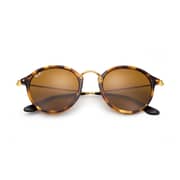 RayBan RB2447-1160-49 Havana/Brown Acetate Men Sunglasses