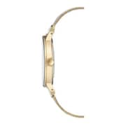 Anne Klein AK3222GMGB Women Watch