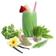 Sunfood Superfoods Organic Supergreens & Protein 8oz