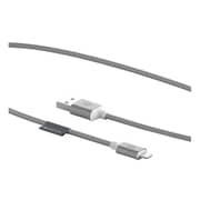 Griffin Premium Lightning Cable 1.5M Silver