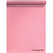 Coopic 1.35m X 3m Background Backdrop Paper For Photo Studio Portrait Seamless Collapsible Classic Fashion For Studio Professional Photographer (carnation Pink) #19 Coopic 1.35m X 3m Background Backdrop Paper For Photo Studio Portrait Seamless Collapsible Classic Fashion For Studio Professional Photographer (carnation Pink) #19