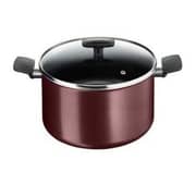 Tefal Simplicity Stock Pot w/Lid 30 cm TFB305690