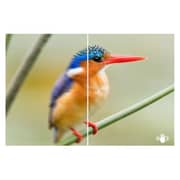 Sony E 18-200mm f/3.5-6.3 OSS LE Lens SEL18200LE