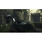 PS4 The Last Guardian Game PS4 The Last Guardian Game