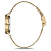 Omax Dome Series Gold Mesh Analog Watch For Women DCD004G21I