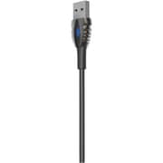 Iconix USB-C Cable 1m Assorted