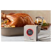 SmokeBloq - WiFi Meat Thermometer