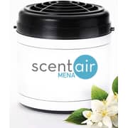 Scent Air Golden Bamboo Fragrance Cartridge Oil For Scentwave Ifra Regulated Safe Scent For Home And Business Scent Air Golden Bamboo Fragrance Cartridge Oil For Scentwave Ifra Regulated Safe Scent For Home And Business