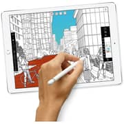 iPad Pro 10.5-inch (2017) WiFi+Cellular 256GB Space Grey iPad Pro 10.5-inch (2017) WiFi+Cellular 256GB Space Grey