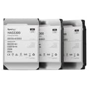 Int. Synology Has5300-16t 3.5 