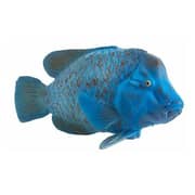 Mojo Animal Planet Blue Groper Portugal Large Figurine